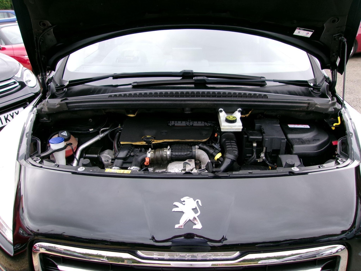 Vehicle 31