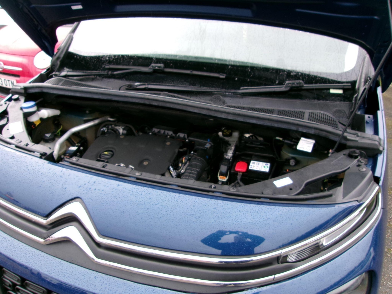 Used Citroen Berlingo 2020 for sale - 77626101: Photo 37