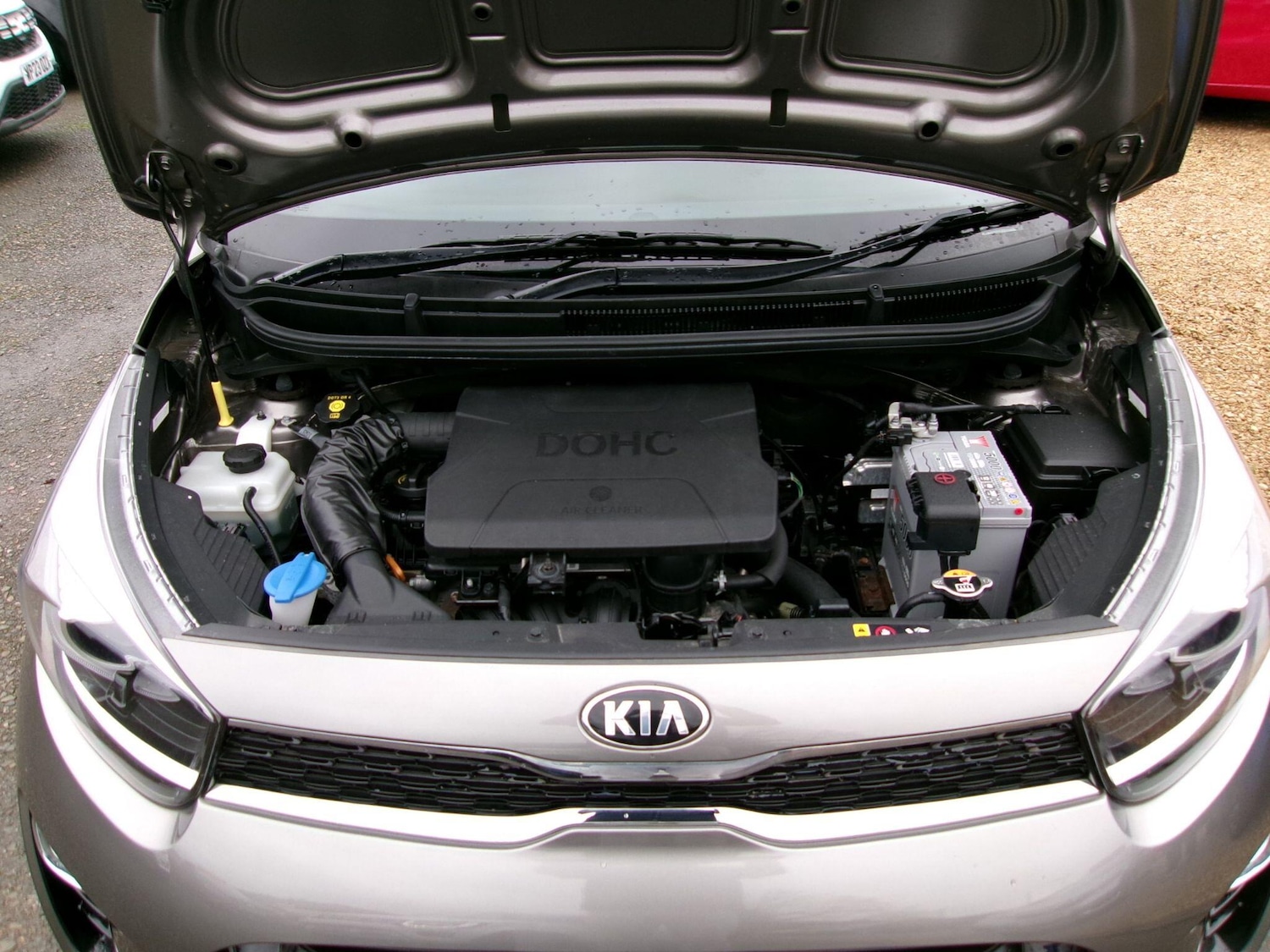 Used Kia Picanto 2019 for sale - 77291724: Photo 21