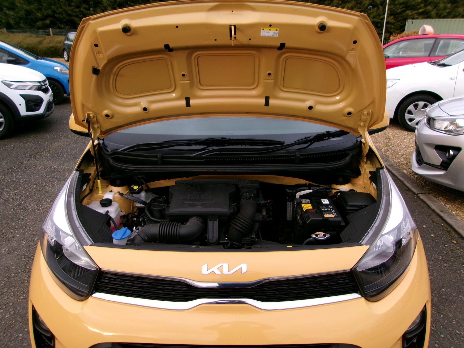 Used Kia Picanto 2023 for sale - 77155802: Photo 23