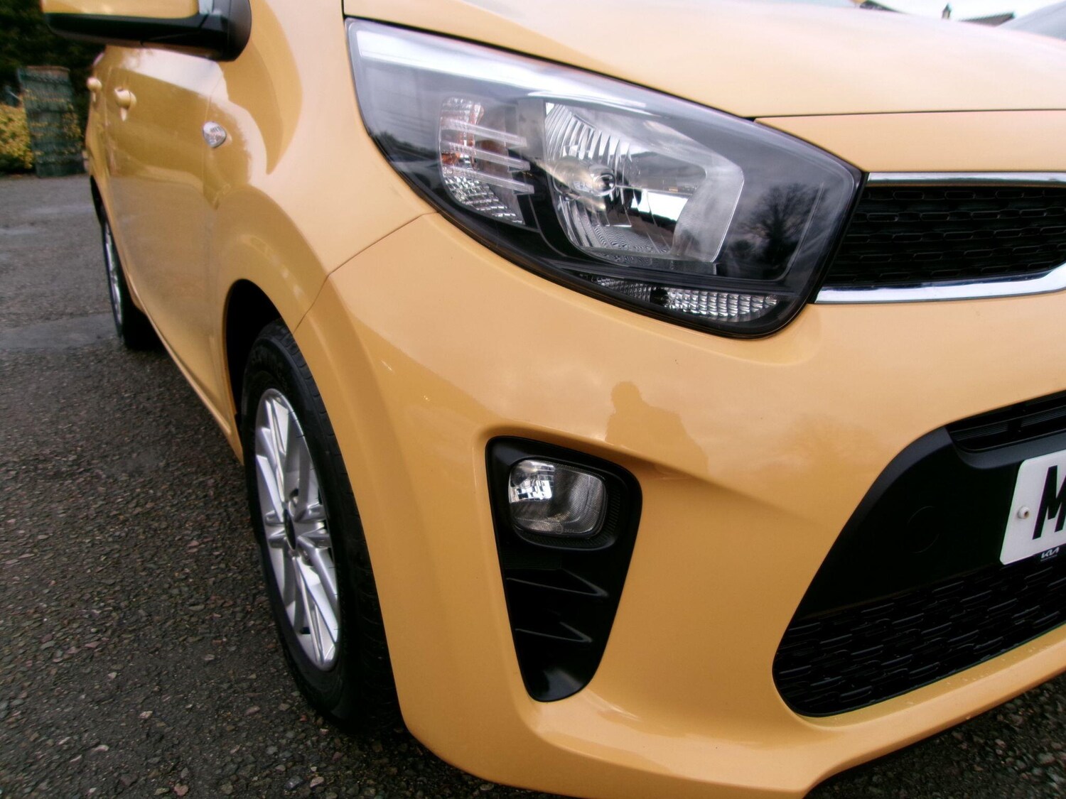 Used Kia Picanto 2023 for sale - 77155802: Photo 36