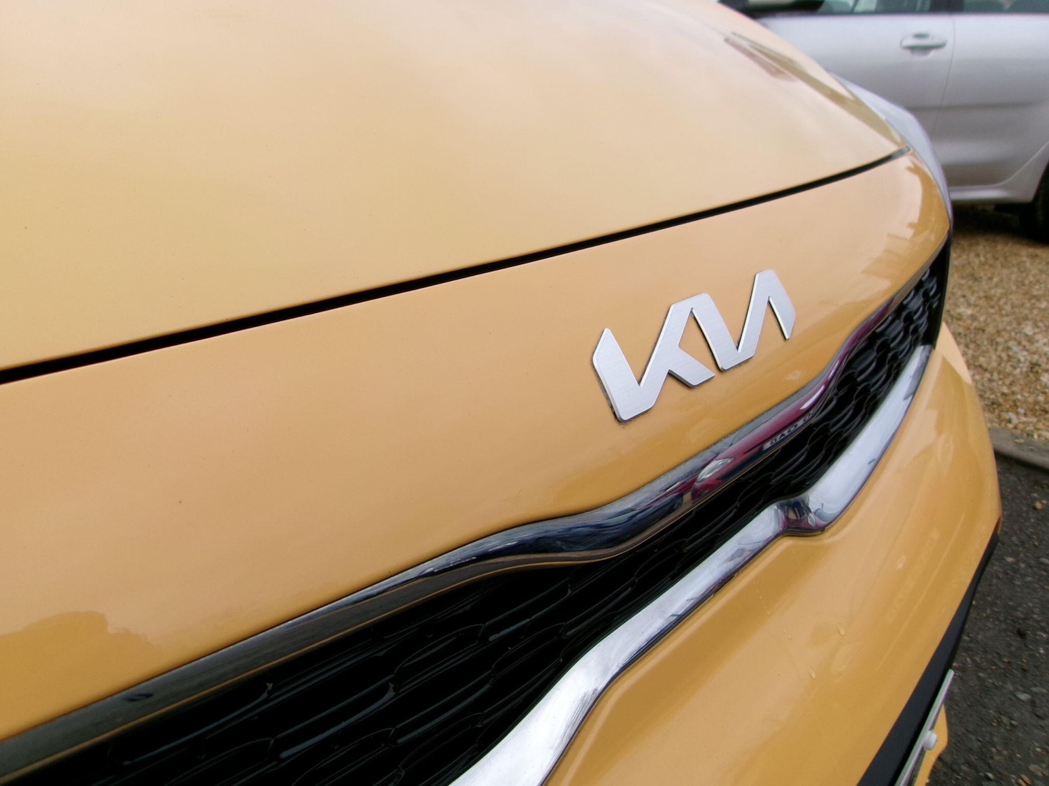 Used Kia Picanto 2023 for sale - 77155802: Photo 37