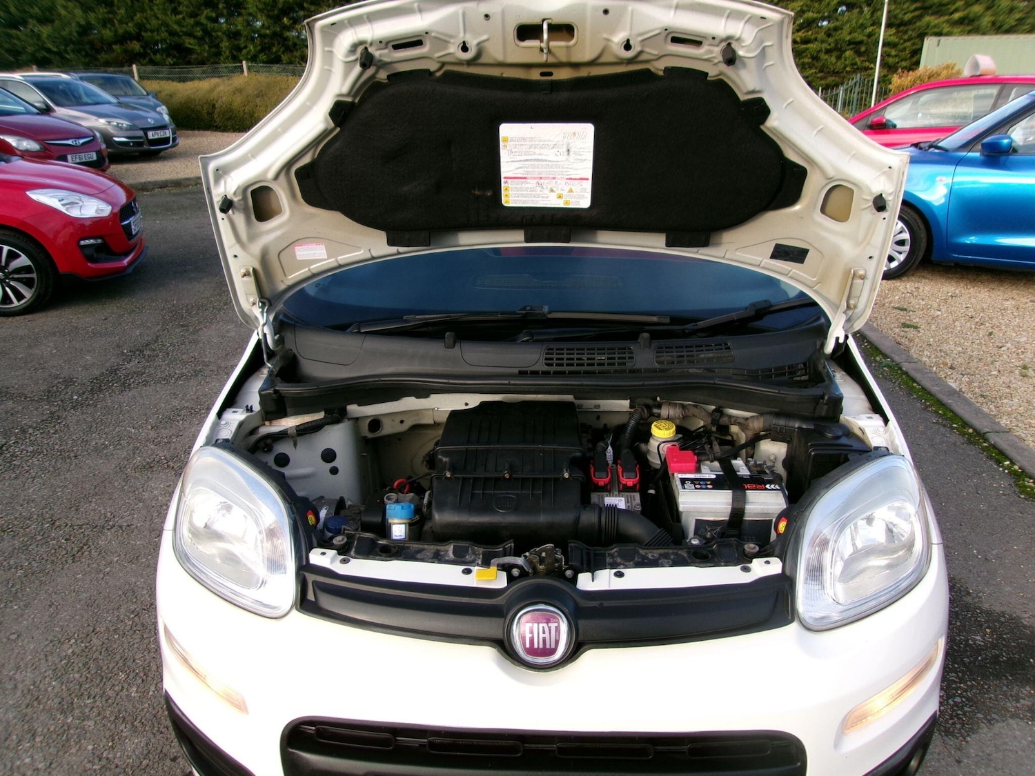 Used Fiat Panda 2012 for sale - 76646090: Photo 19