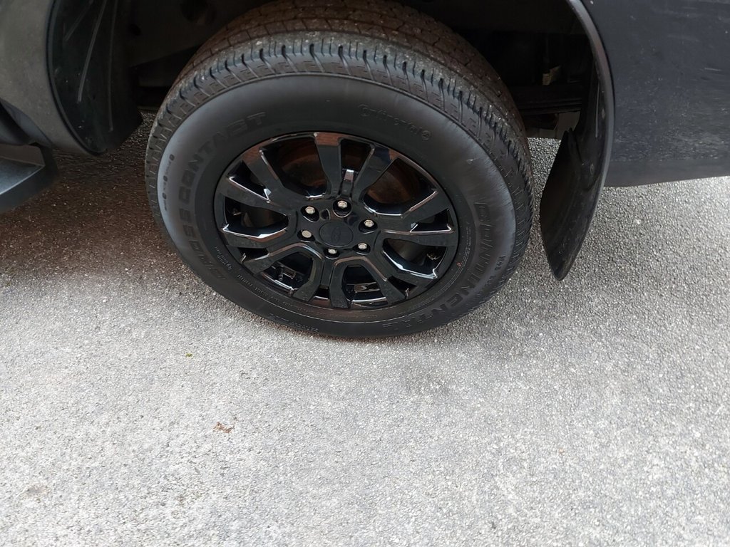 Used Ford Ranger 2023 for sale - 77666746: Photo 22