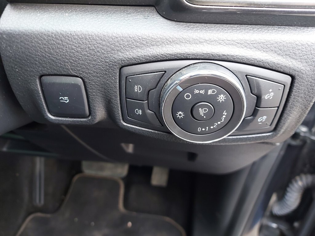 Used Ford Ranger 2023 for sale - 77557643: Photo 14