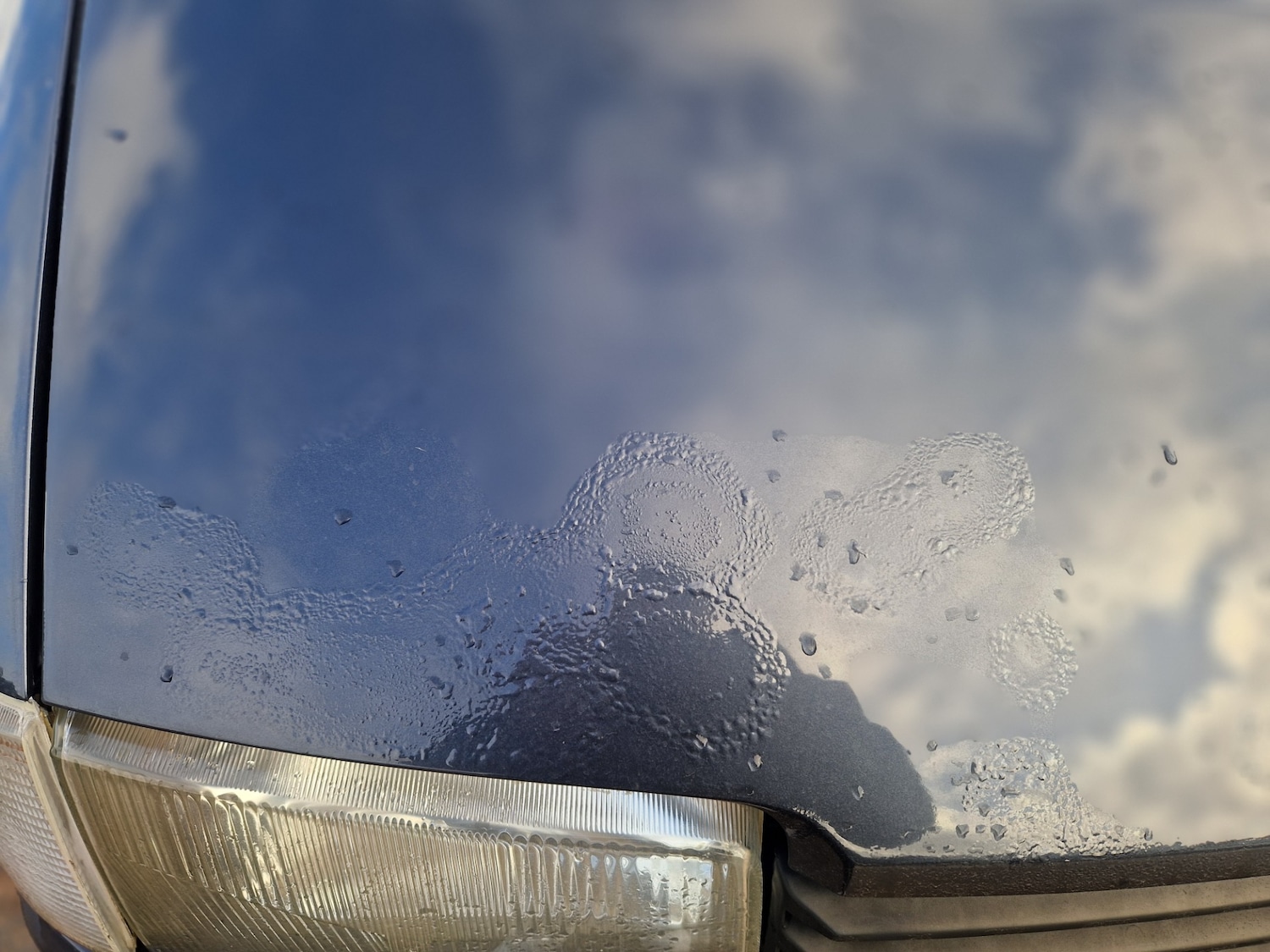 Used Volkswagen Transporter 2003 for sale - 77840068: Photo 20