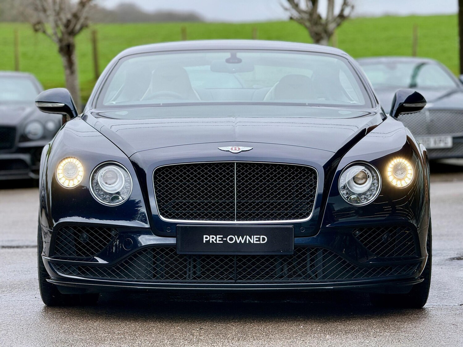 Used Bentley Continental for sale - 77478624: Photo 12