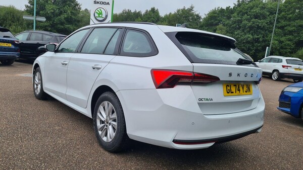 Used Skoda Octavia 2024 for sale - 75387410: Photo 12