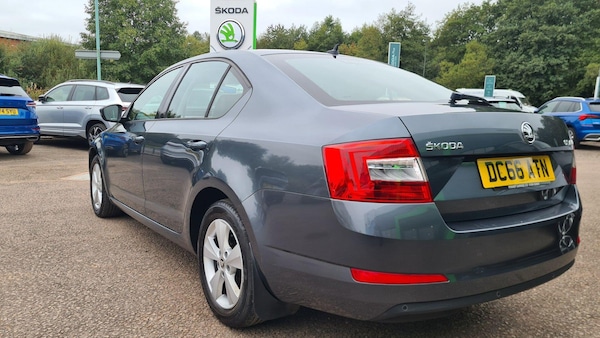 Used Skoda Octavia 2016 for sale - 76166461: Photo 5