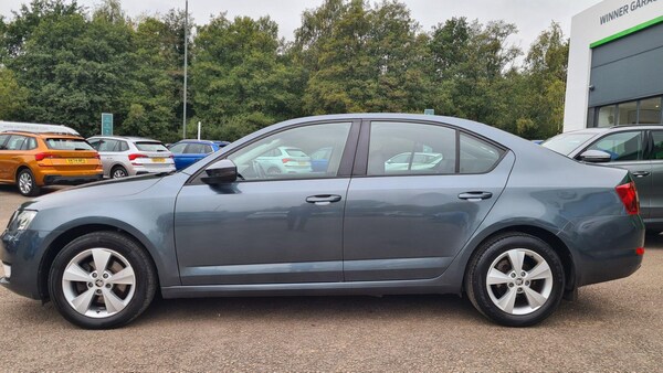 Used Skoda Octavia 2016 for sale - 76166461: Photo 6