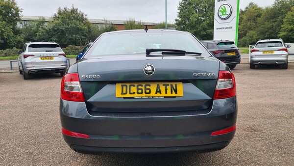 Used Skoda Octavia 2016 for sale - 76166461: Photo 7