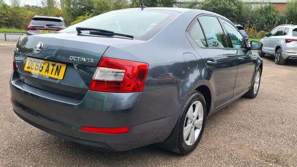 Used Skoda Octavia 2016 for sale - 76166461: Photo 9
