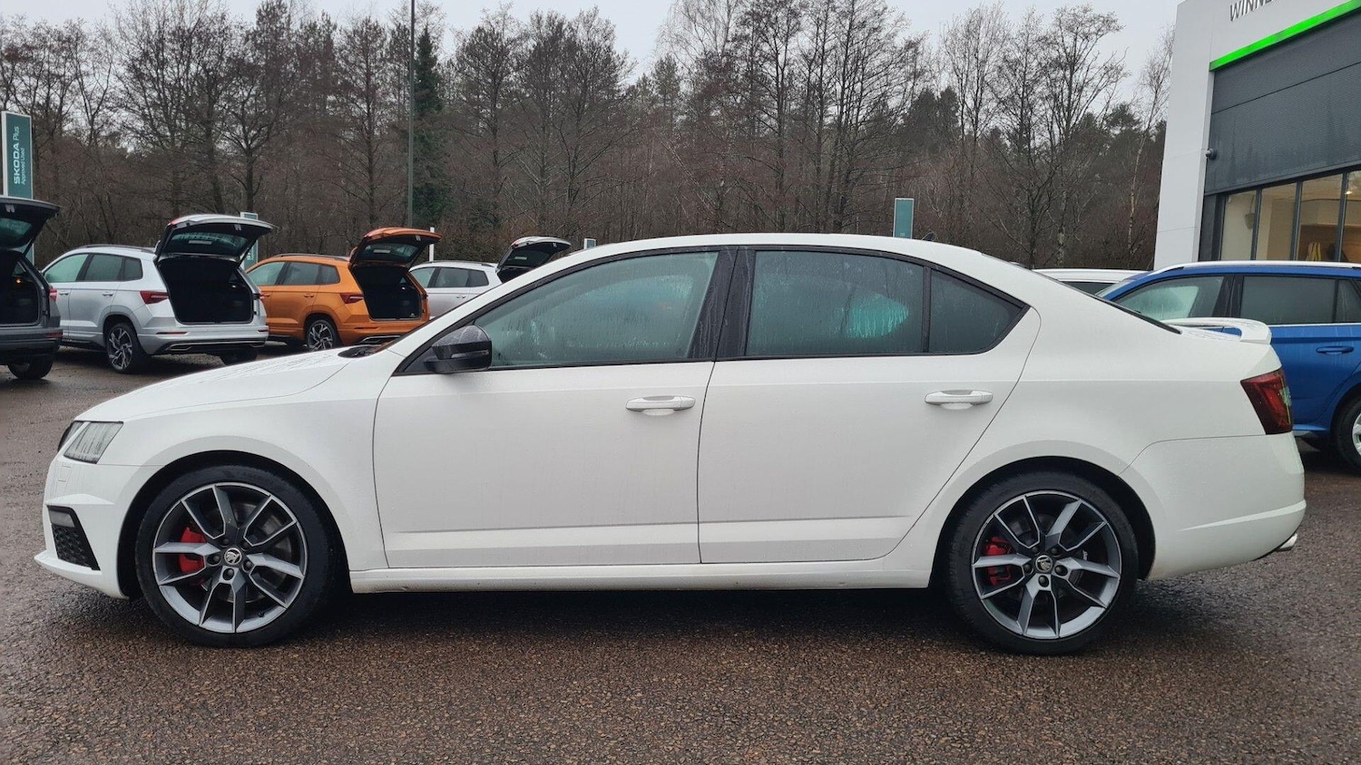 Used Skoda Octavia 2026 for sale - 77203858: Photo 7