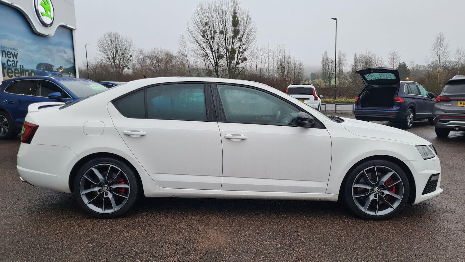 Used Skoda Octavia 2026 for sale - 77203858: Photo 9