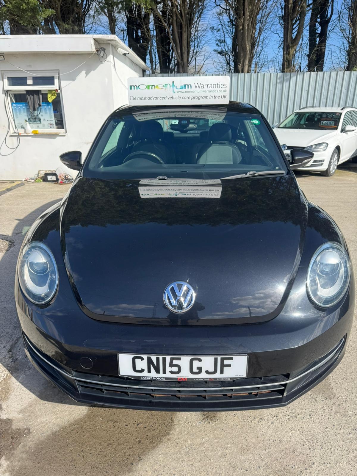 Used Volkswagen Beetle 2015 for sale - 78087967: Photo 35