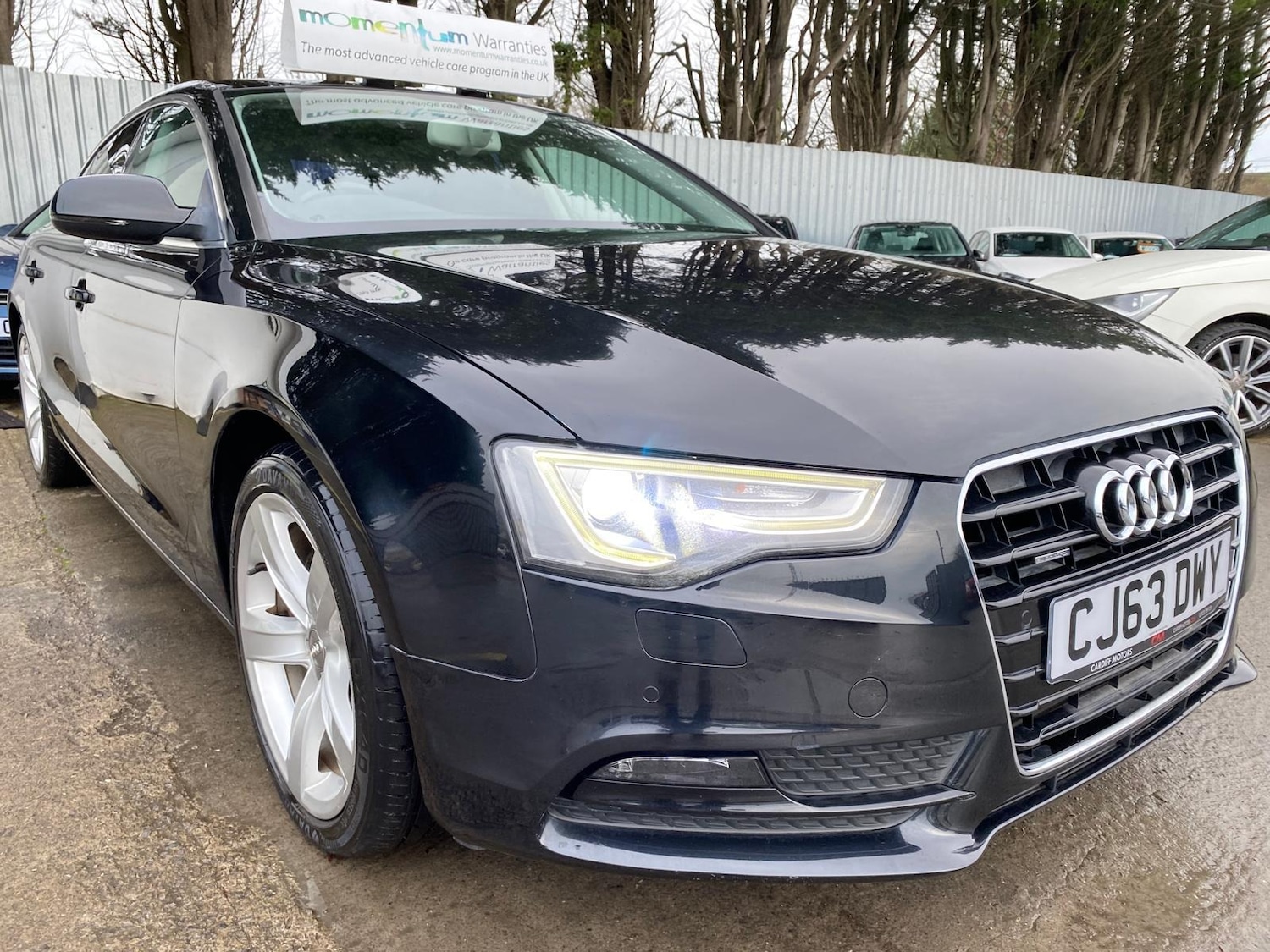 Used Audi A5 2025 for sale - 77388390: Photo 41