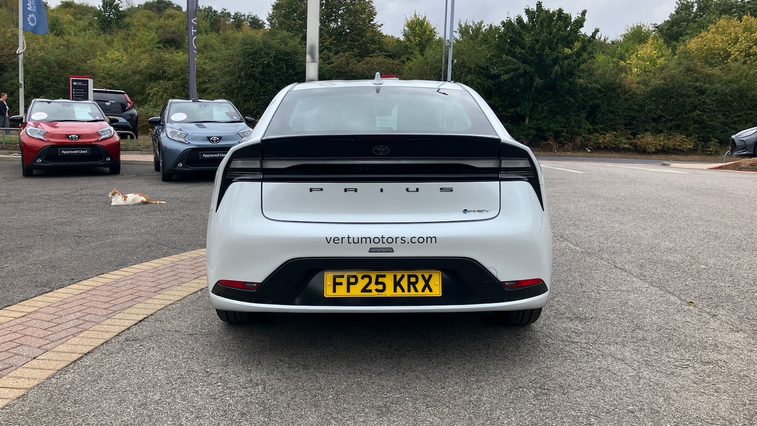 Used Toyota Prius 2025 for sale - 76101269: Photo 19