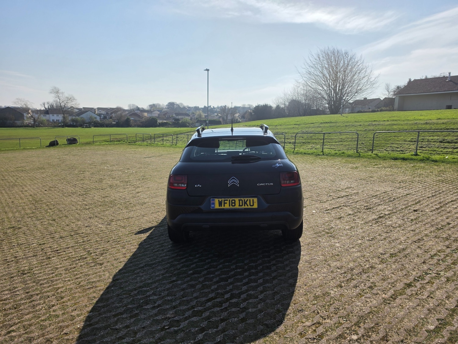 Used Citroen C4 Cactus 2018 for sale - 77974266: Photo 6