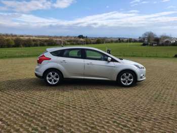 Used Ford Focus 2014 for sale - 74259932: Photo