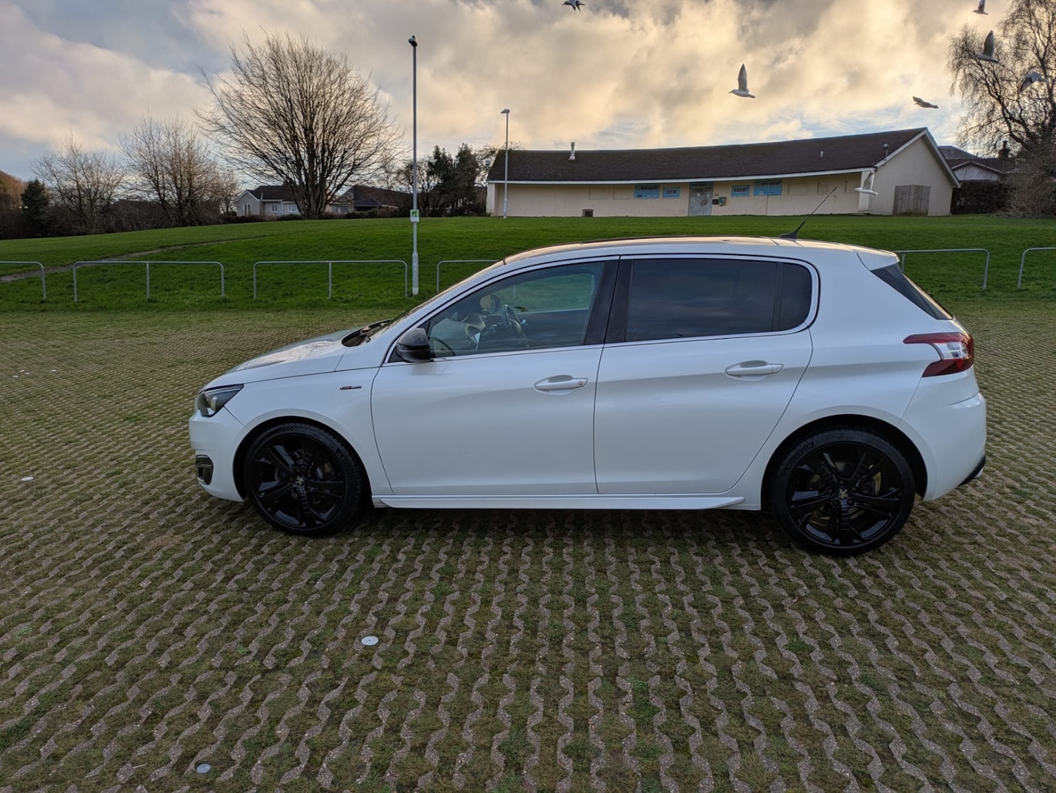 Used Peugeot 308 2017 for sale - 77019140: Photo 6