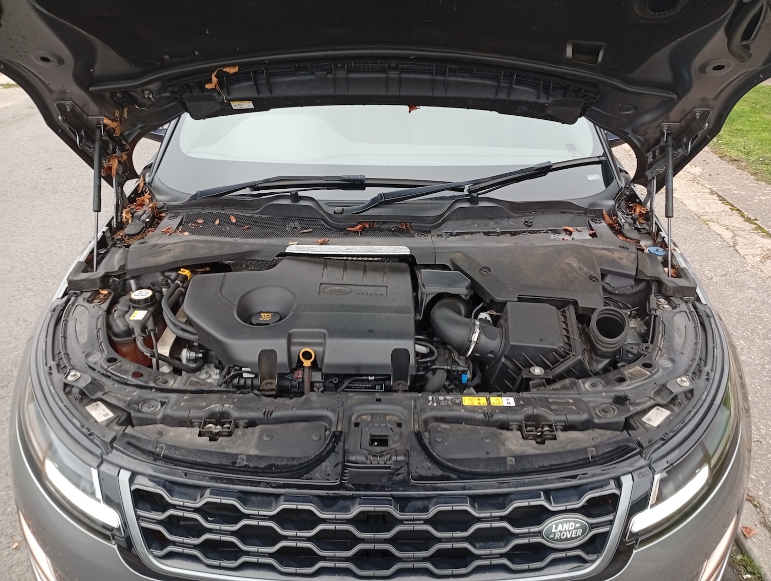 Used Land Rover Range Rover Evoque 2019 for sale - 77797730: Photo 16