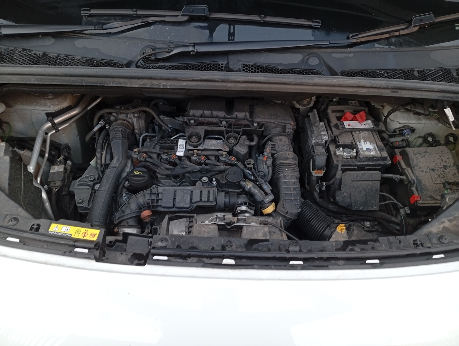 Used Vauxhall Combo 2024 for sale - 78183508: Photo 9