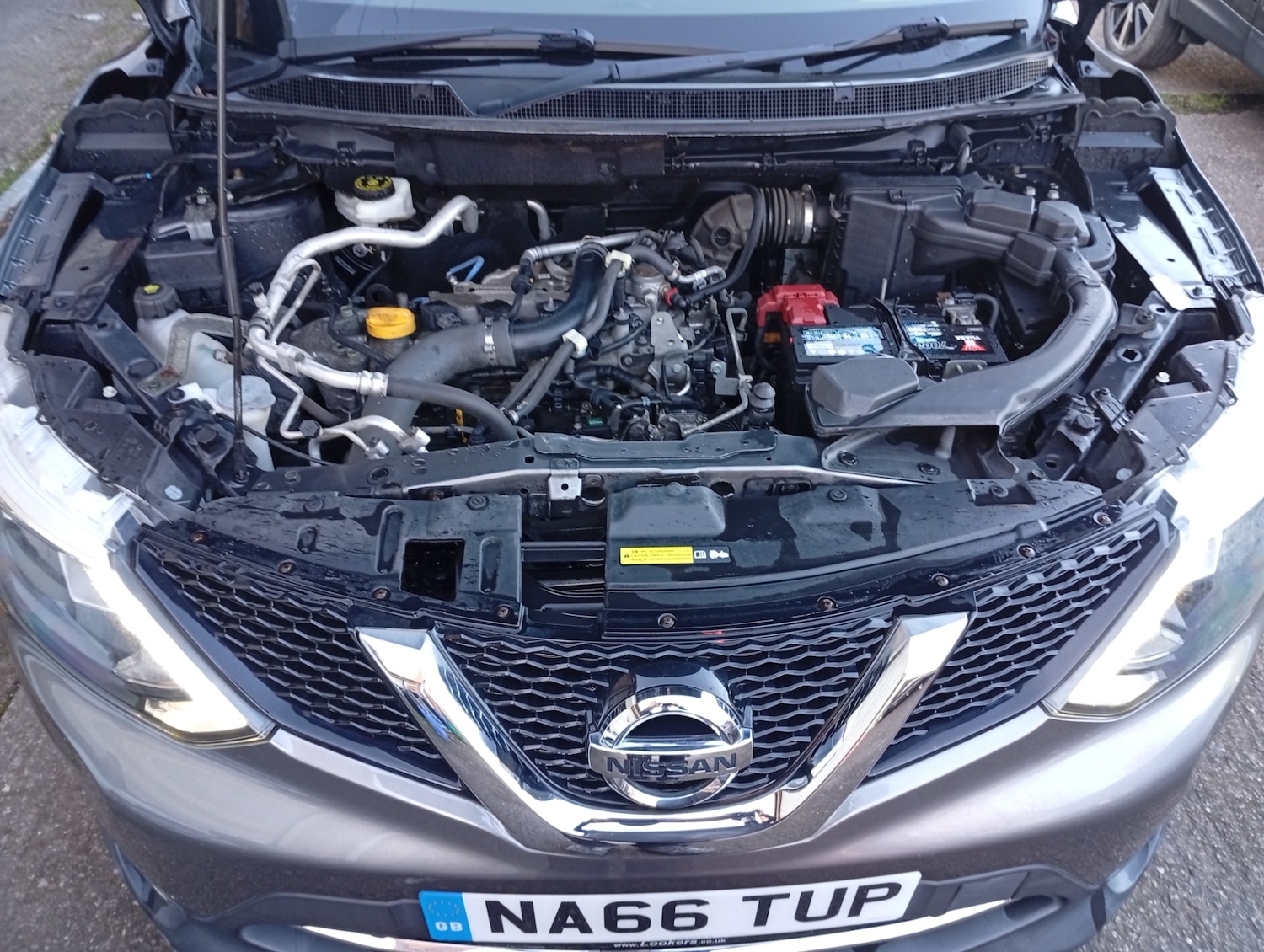 Used Nissan Qashqai 2016 for sale - 76770210: Photo 16