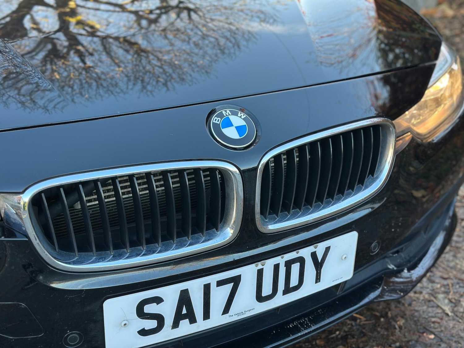 Used BMW 3 Series 2017 for sale - 76658872: Photo 16