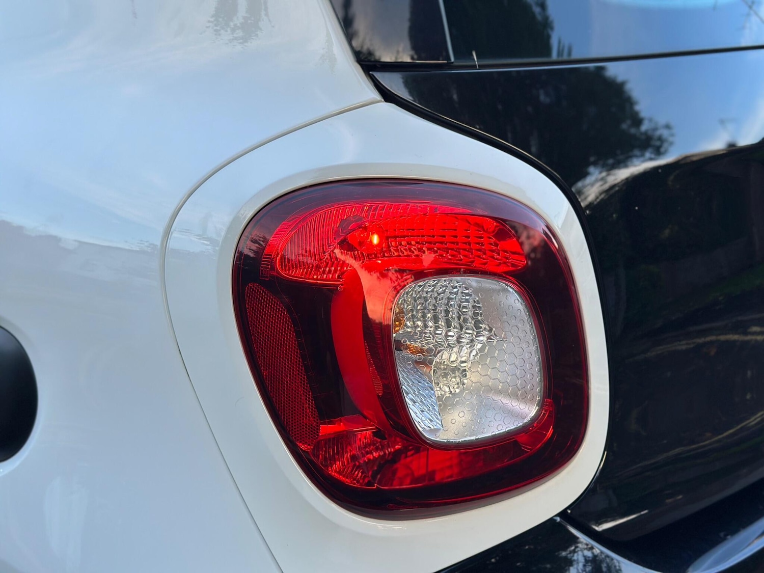 Used smart forfour 2017 for sale - 76361260: Photo 57