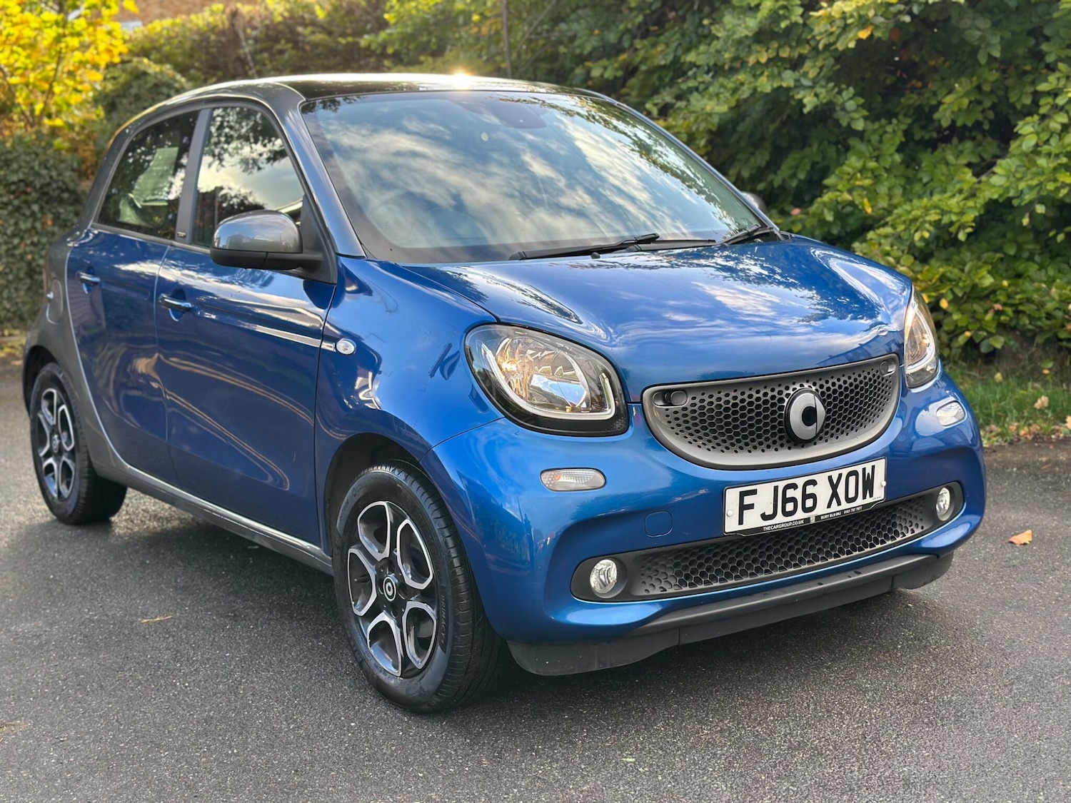 Used smart forfour 2016 for sale - 76388653: Photo 6