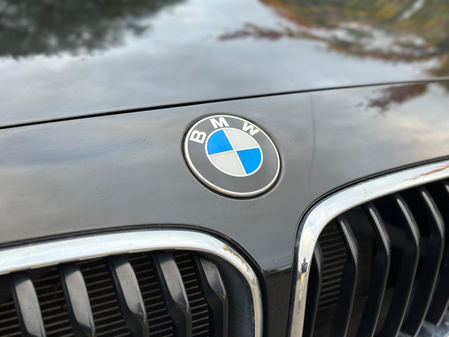 Used BMW 1 Series 2016 for sale - 76440823: Photo 17