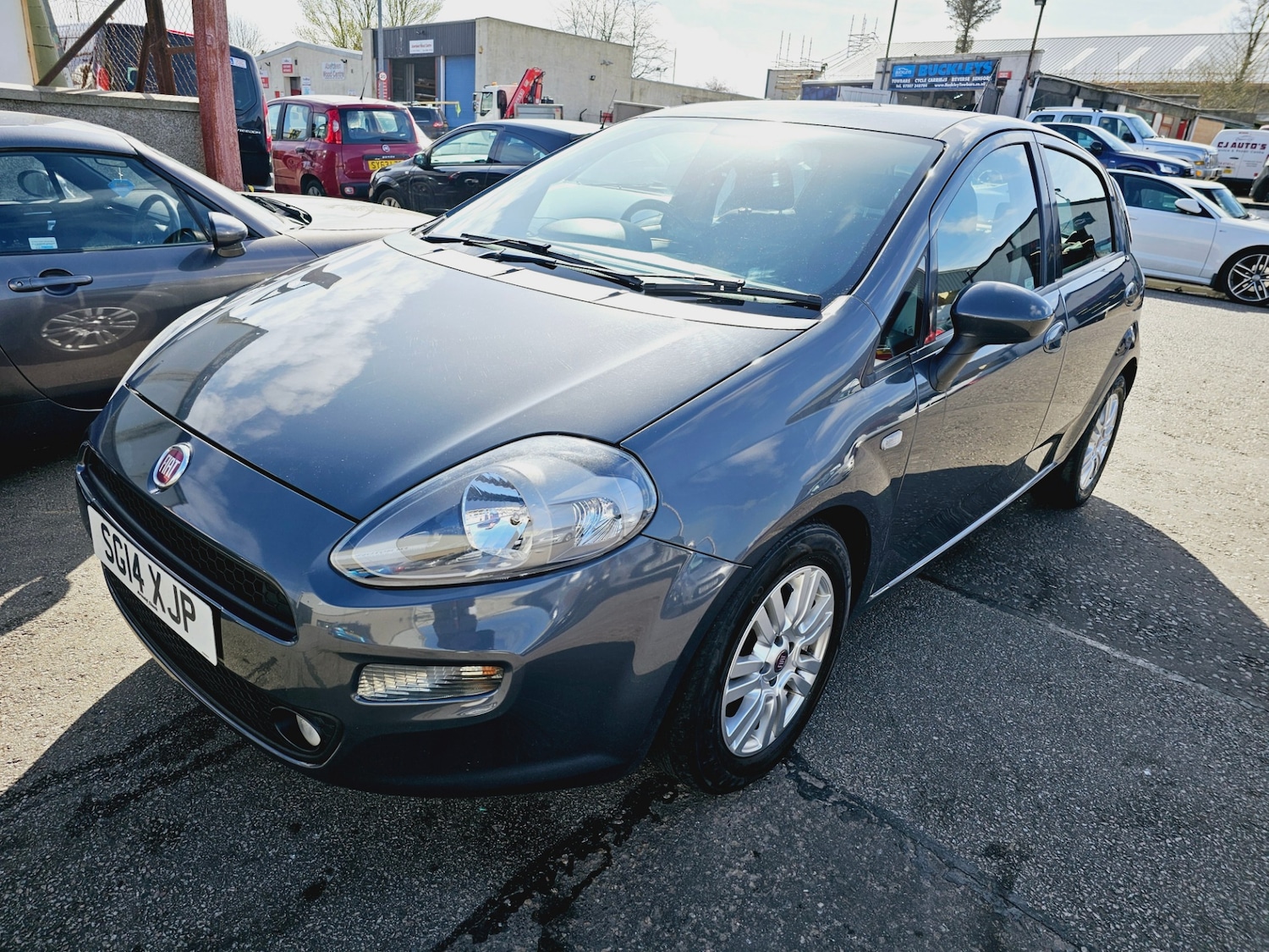 Used Fiat Punto 2014 for sale - 76534029: Photo 2