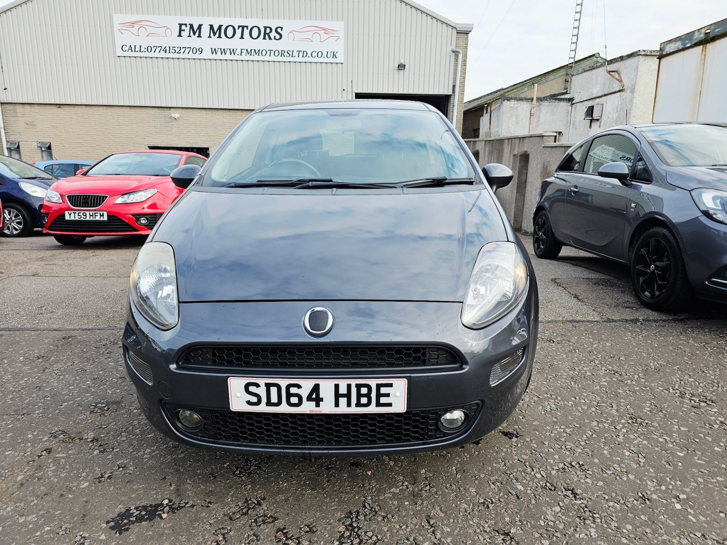 Used Fiat Punto 2014 for sale - 76309796: Photo 1
