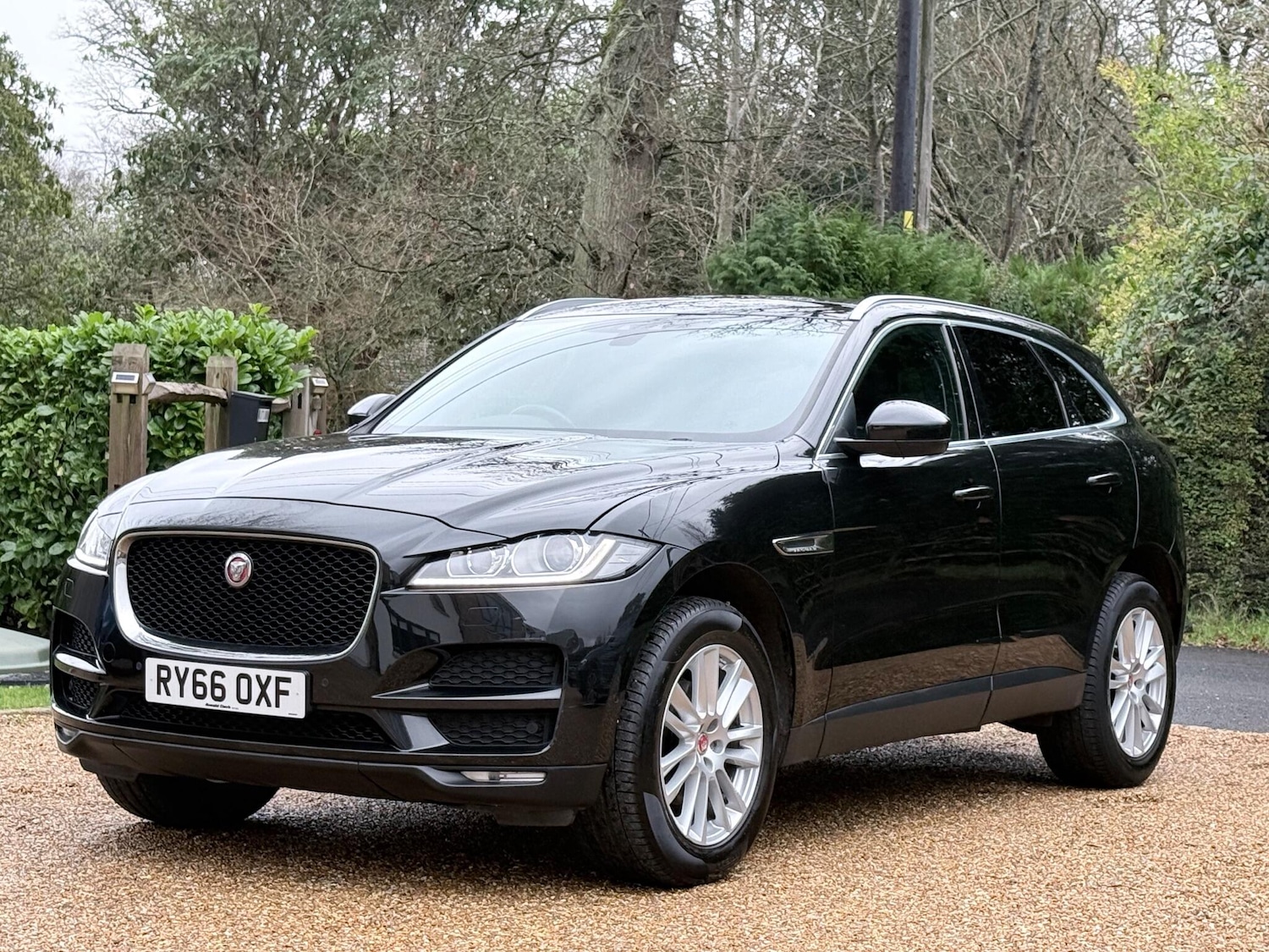 Used Jaguar F-Pace 2016 for sale - 77128646: Photo 3