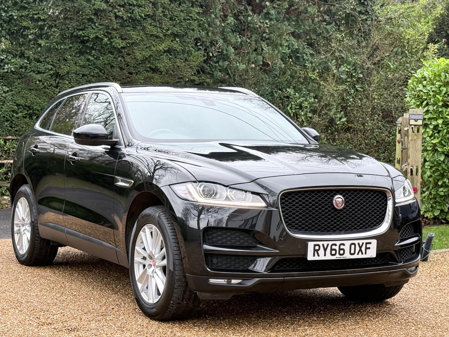 Used Jaguar F-Pace 2016 for sale - 77128646: Photo 9