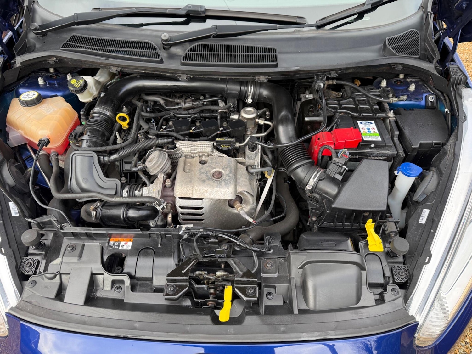 Used Ford Fiesta 2016 for sale - 77421264: Photo 31