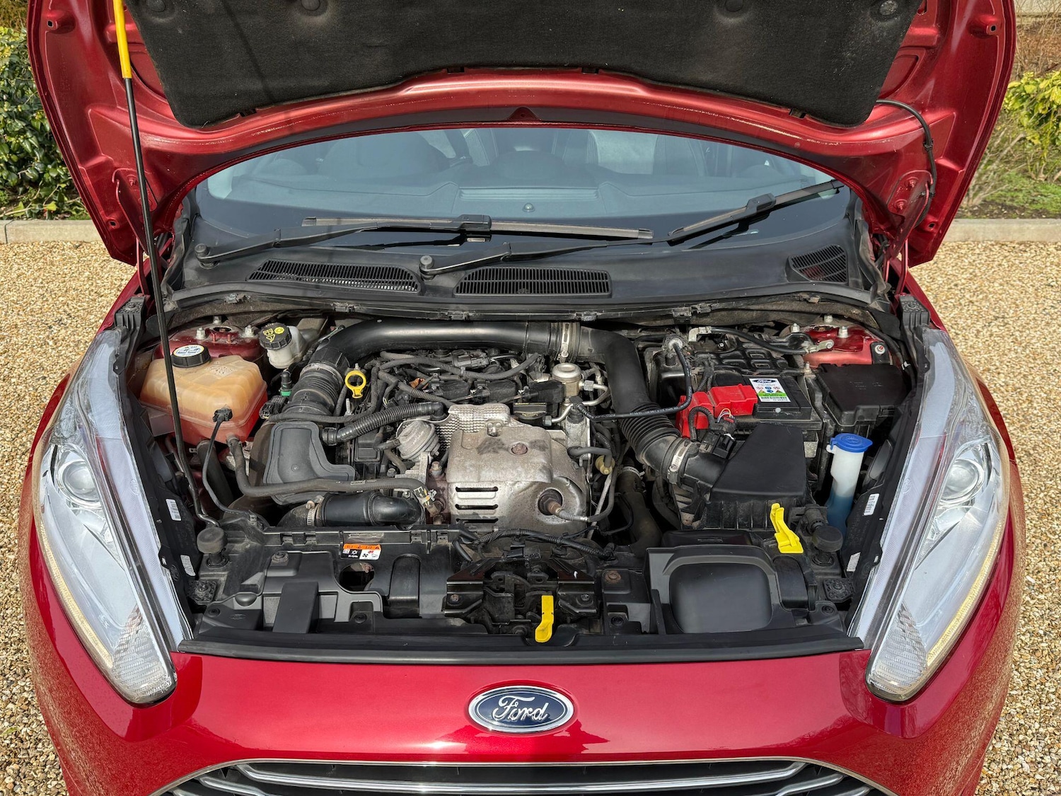 Used Ford Fiesta 2016 for sale - 77546131: Photo 37