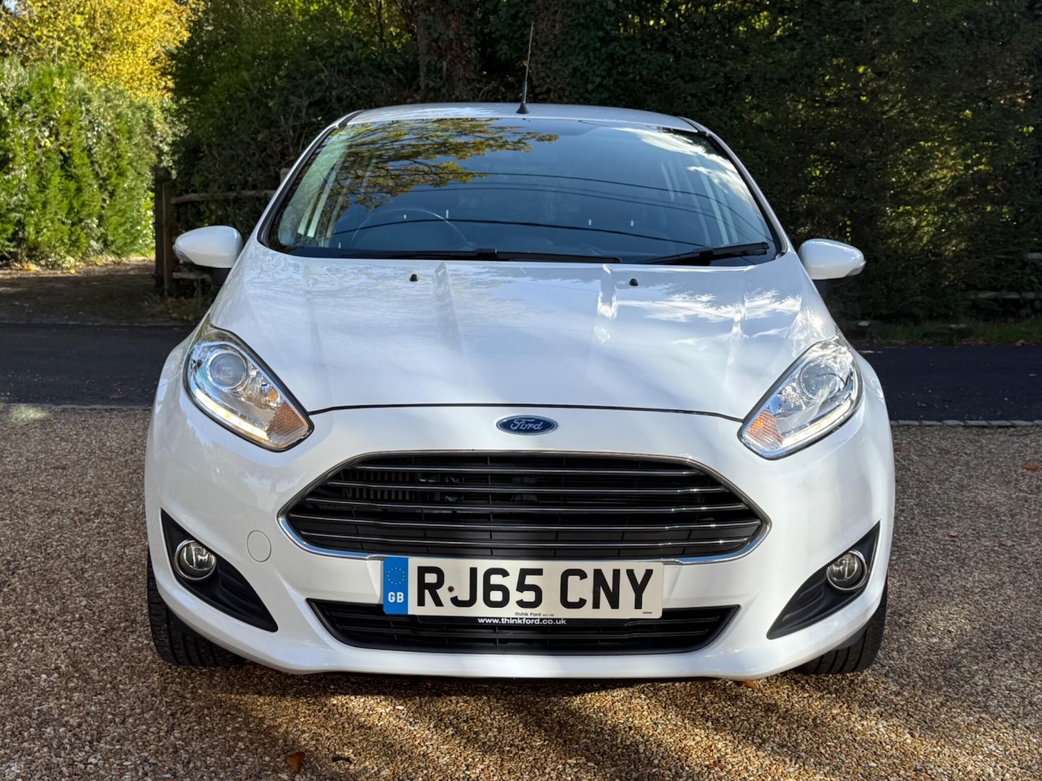 Used Ford Fiesta 2015 for sale - 77128653: Photo 3