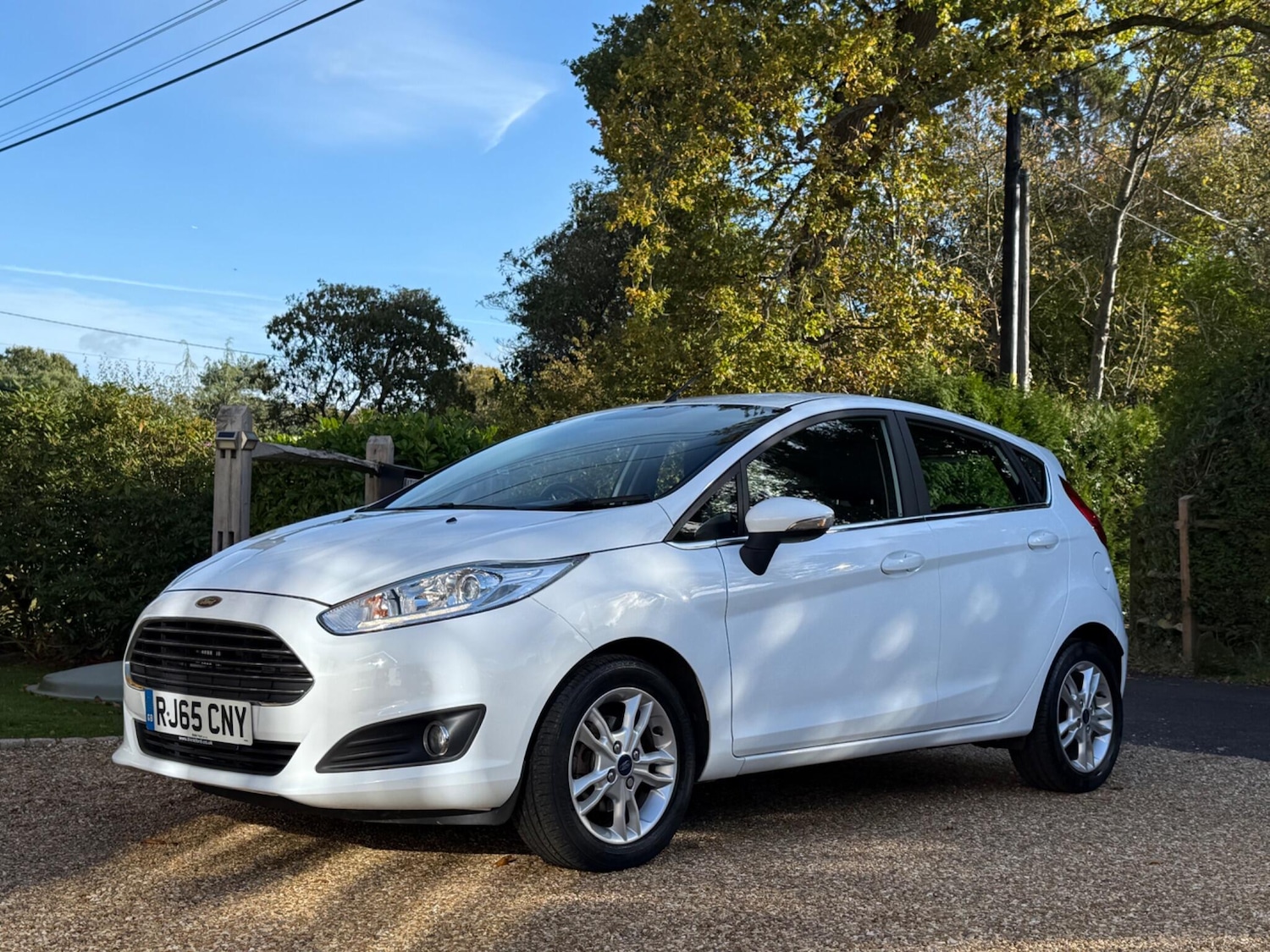 Used Ford Fiesta 2015 for sale - 77128653: Photo 6