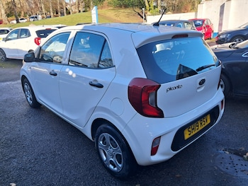 Used Kia Picanto 2019 for sale - 77639346: Photo