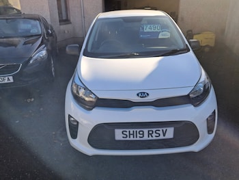 Used Kia Picanto 2019 for sale - 77639346: Photo