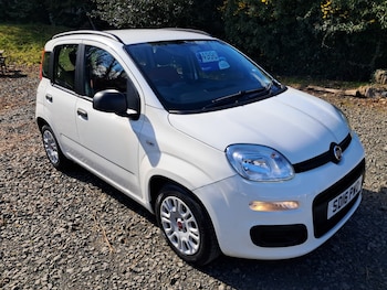 Used Fiat Panda 2016 for sale - 78011921: Photo