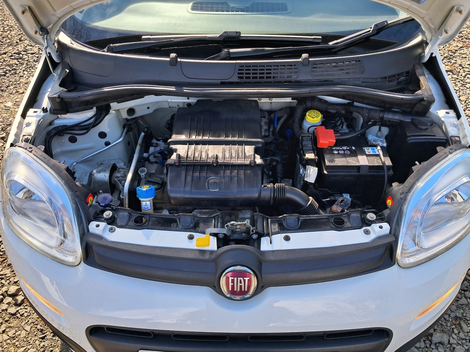 Used Fiat Panda 2016 for sale - 78011921: Photo 22