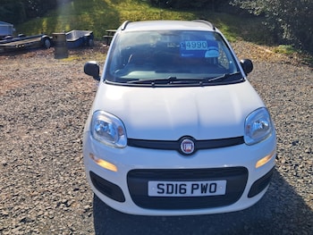Used Fiat Panda 2016 for sale - 78011921: Photo