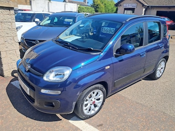 Used Fiat Panda 2017 for sale - 79140712: Photo