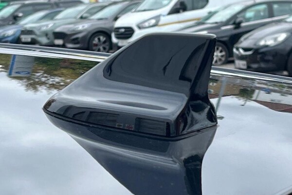Used Ford Focus 2024 for sale - 76255311: Photo 24