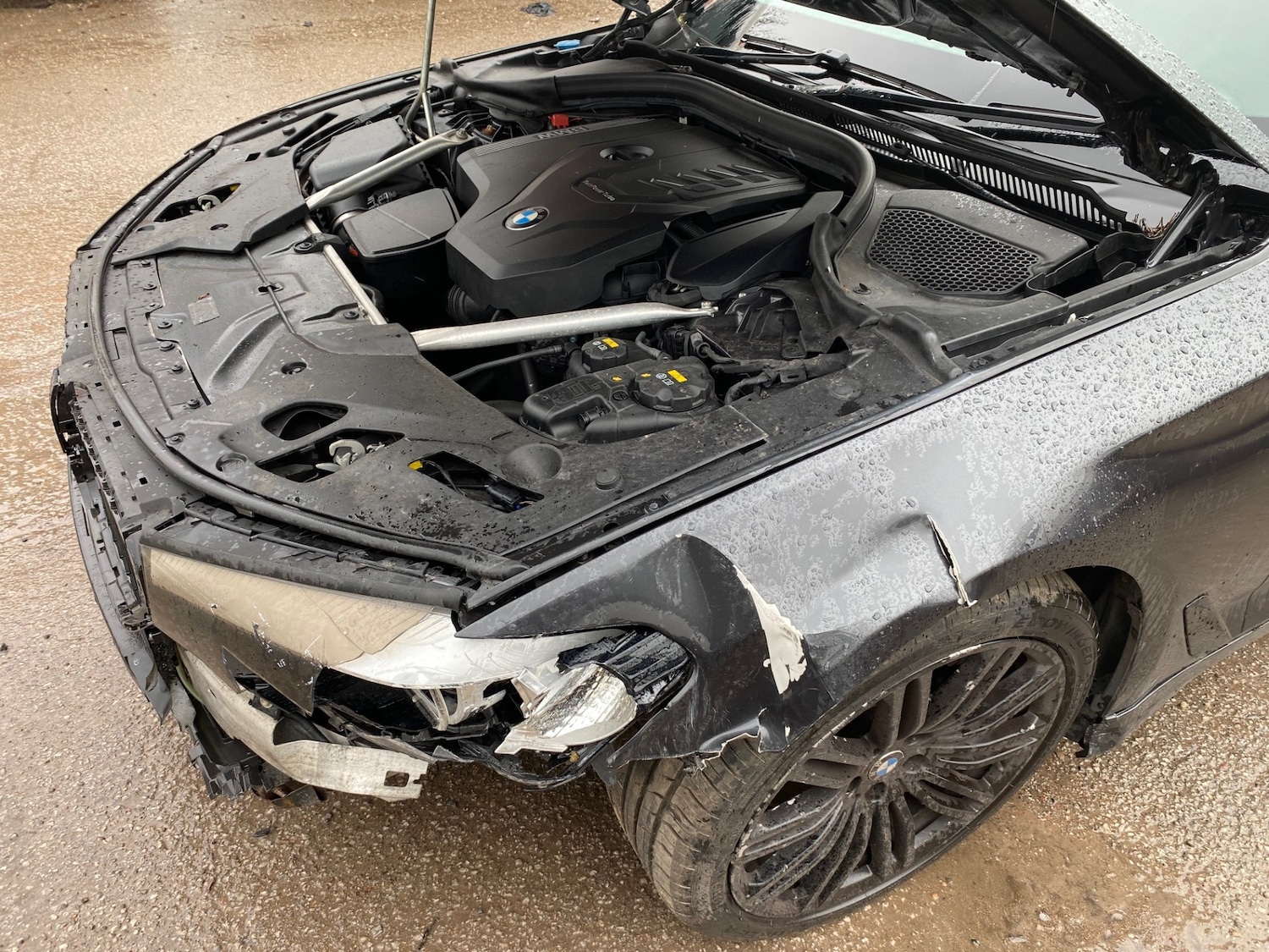 Used BMW 5 Series 2019 for sale - 77502612: Photo 8