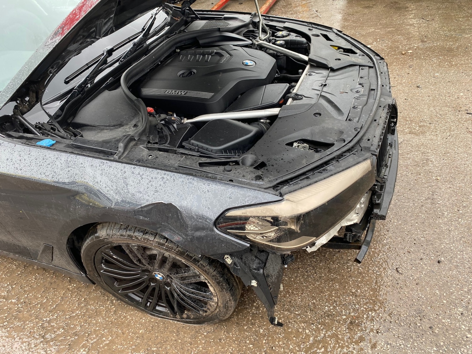 Used BMW 5 Series 2019 for sale - 77502612: Photo 9