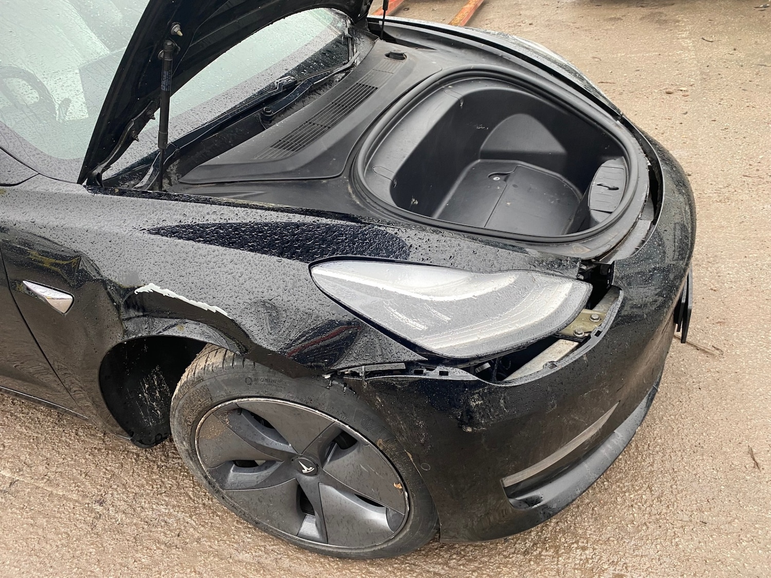 Used Tesla Model 3 2019 for sale - 77352246: Photo 10