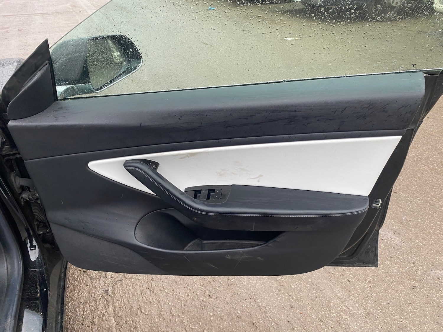 Used Tesla Model 3 2019 for sale - 77352246: Photo 16